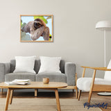 paint by numbers | Lazy | advanced animals | FiguredArt