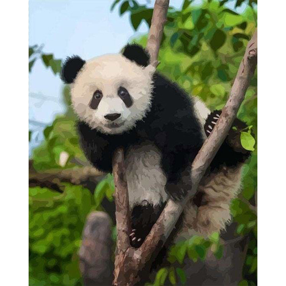 paint by numbers | Panda In Tree | animals intermediate pandas trees | FiguredArt