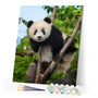 paint by numbers | Panda In Tree | animals intermediate pandas trees | FiguredArt