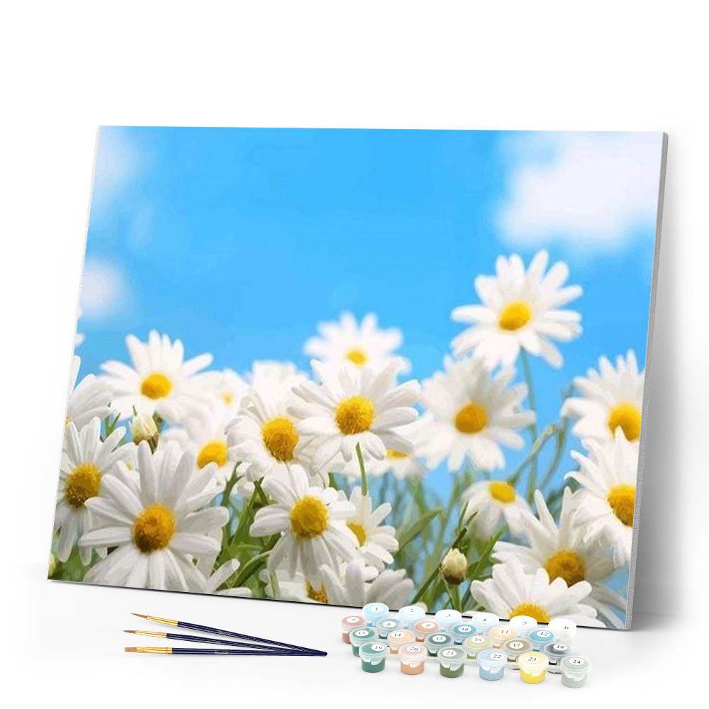 paint by numbers | Chamomile | easy flowers | FiguredArt