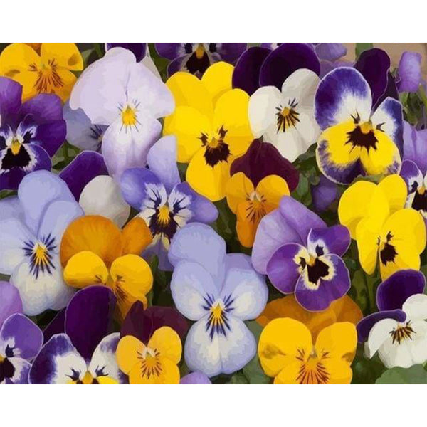 paint by numbers | In the Fields | flowers intermediate | FiguredArt