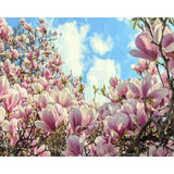 paint by numbers | Magnolias | flowers intermediate | FiguredArt