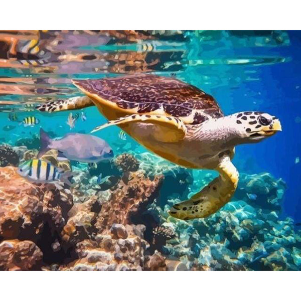 paint by numbers | Turtles in your Environment | advanced animals turtles | FiguredArt