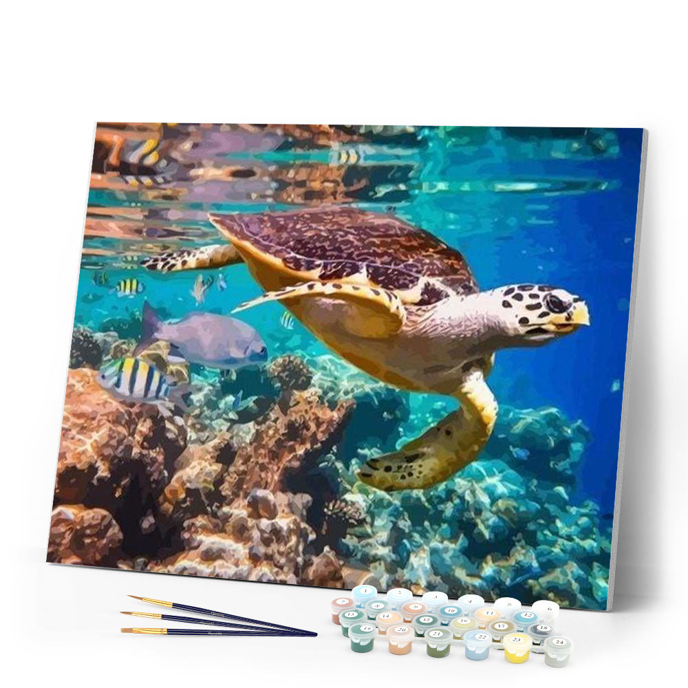 paint by numbers | Turtles in your Environment | advanced animals turtles | FiguredArt