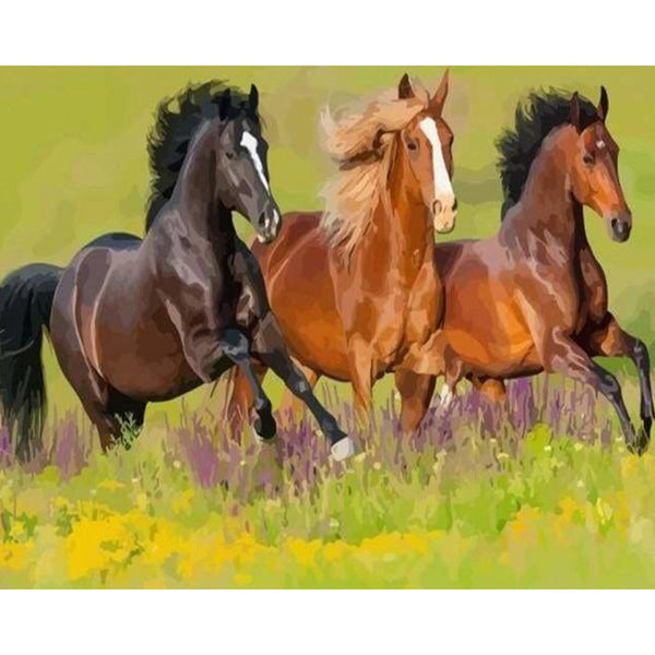 paint by numbers | Three Horses gallop | animals easy horses | FiguredArt