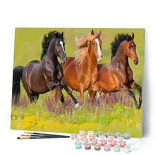Load image into Gallery viewer, paint by numbers | Three Horses gallop | animals easy horses | FiguredArt