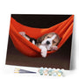 paint by numbers | Sleeping Dog | animals dogs easy | FiguredArt