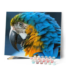 Load image into Gallery viewer, paint by numbers | Blue and Yellow Macaw | animals birds intermediate | FiguredArt