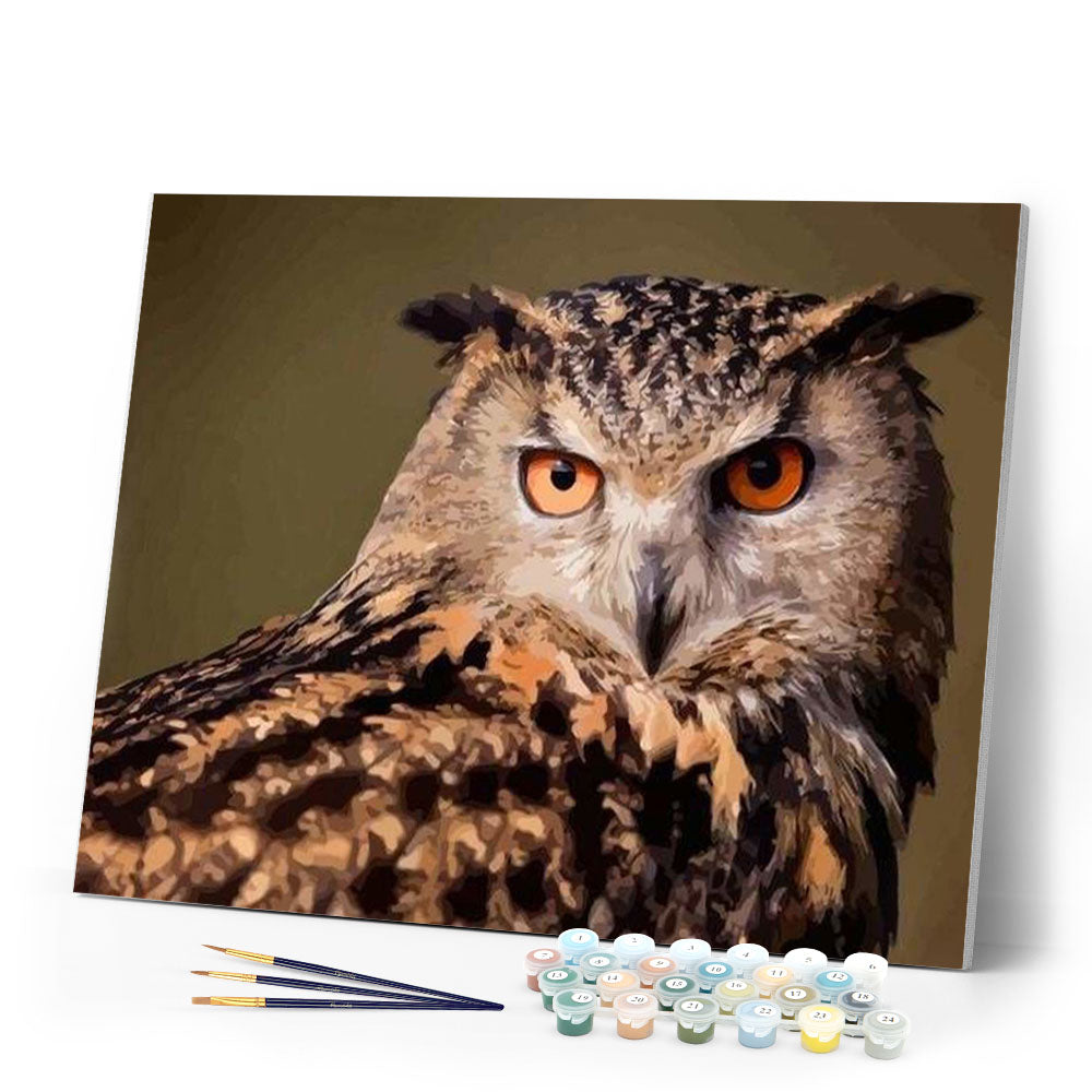 paint by numbers | Owl look | animals intermediate owls | FiguredArt