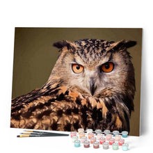 Load image into Gallery viewer, paint by numbers | Owl look | animals intermediate owls | FiguredArt