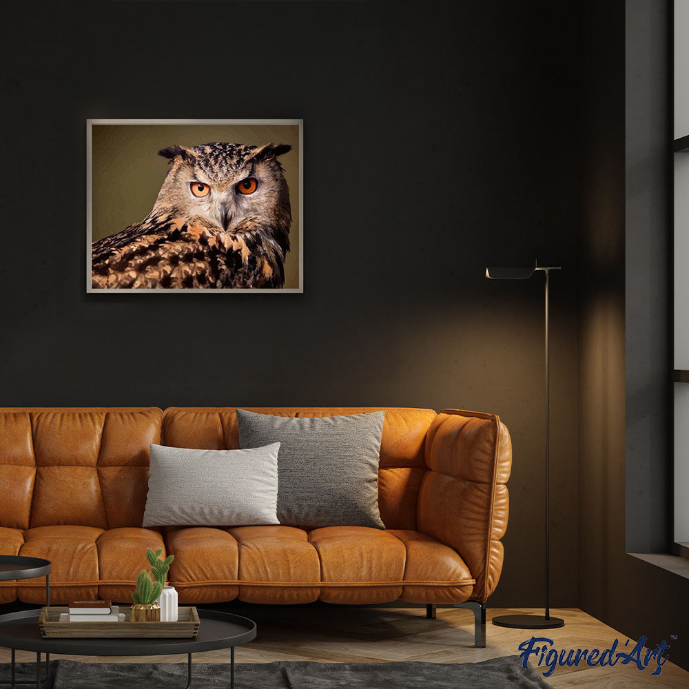 paint by numbers | Owl look | animals intermediate owls | FiguredArt