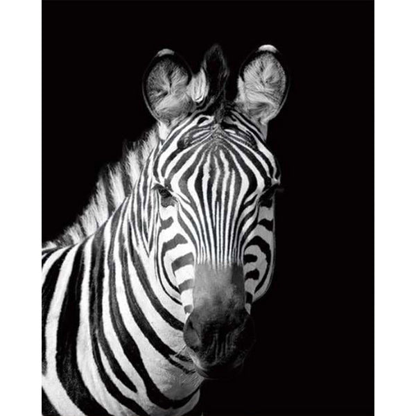 paint by numbers | Zebra White And Black Face | animals easy zebras | FiguredArt