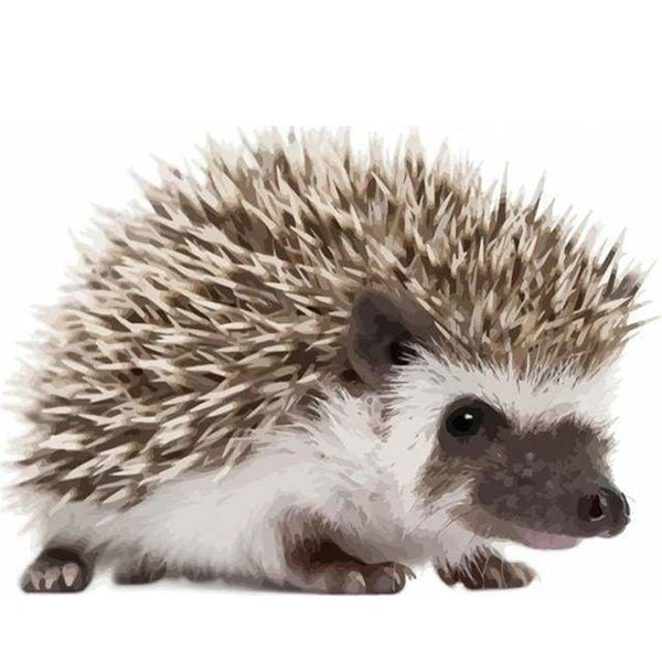 paint by numbers | Hedgehog | animals hedgehogs intermediate | FiguredArt