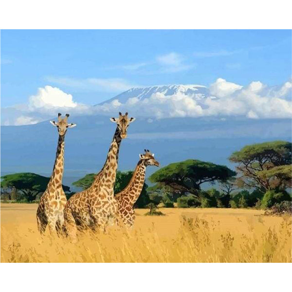 paint by numbers | Three Giraffes | animals giraffes intermediate landscapes | FiguredArt