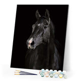 paint by numbers | Dark Horse | animals easy horses | FiguredArt