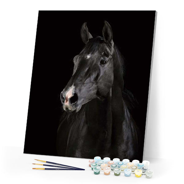 paint by numbers | Dark Horse | animals easy horses | FiguredArt