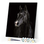 paint by numbers | Dark Horse | animals easy horses | FiguredArt