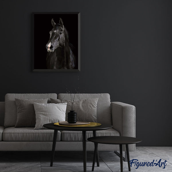 paint by numbers | Dark Horse | animals easy horses | FiguredArt