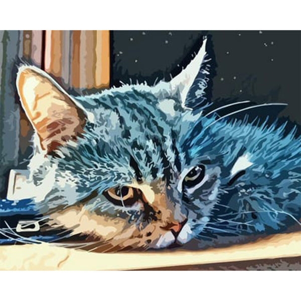 paint by numbers | American Shorthair Cat | animals cats easy | FiguredArt