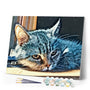 paint by numbers | American Shorthair Cat | animals cats easy | FiguredArt