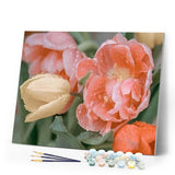 paint by numbers | Dewdrops Tulip | flowers intermediate | FiguredArt