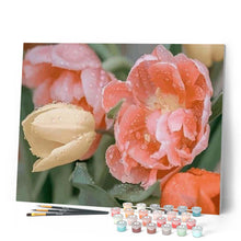 Load image into Gallery viewer, paint by numbers | Dewdrops Tulip | flowers intermediate | FiguredArt