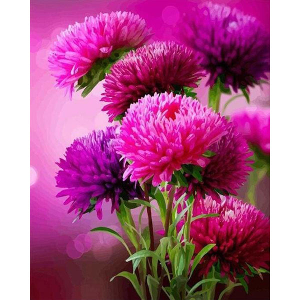 paint by numbers | Aster Autumn Flower | advanced flowers | FiguredArt