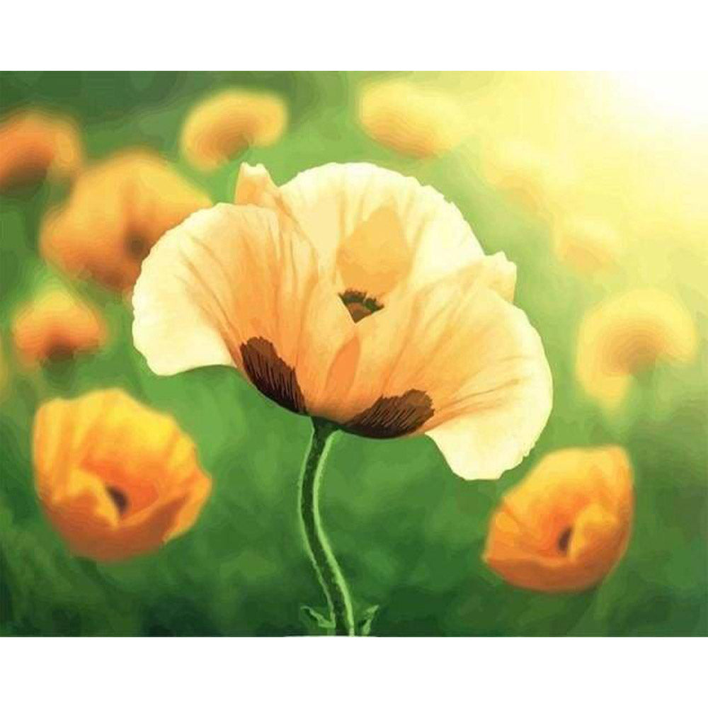 paint by numbers | Tulips in full bloom | flowers intermediate | FiguredArt