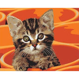 paint by numbers | Painting Small Cat | animals cats easy | FiguredArt