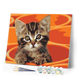 paint by numbers | Painting Small Cat | animals cats easy | FiguredArt
