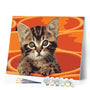 paint by numbers | Painting Small Cat | animals cats easy | FiguredArt