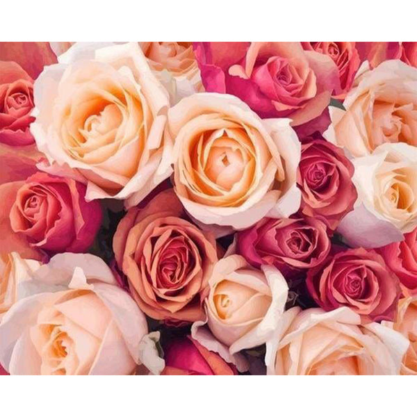 paint by numbers | Color Orange Peach Roses | advanced flowers | FiguredArt