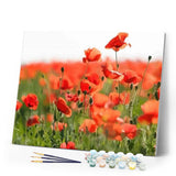 paint by numbers | Field of Red Poppies | advanced flowers landscapes | FiguredArt