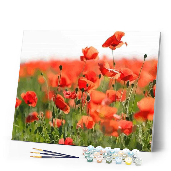 paint by numbers | Field of Red Poppies | advanced flowers landscapes | FiguredArt