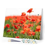 paint by numbers | Field of Red Poppies | advanced flowers landscapes | FiguredArt