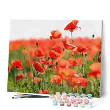 Load image into Gallery viewer, paint by numbers | Field of Red Poppies | advanced flowers landscapes | FiguredArt