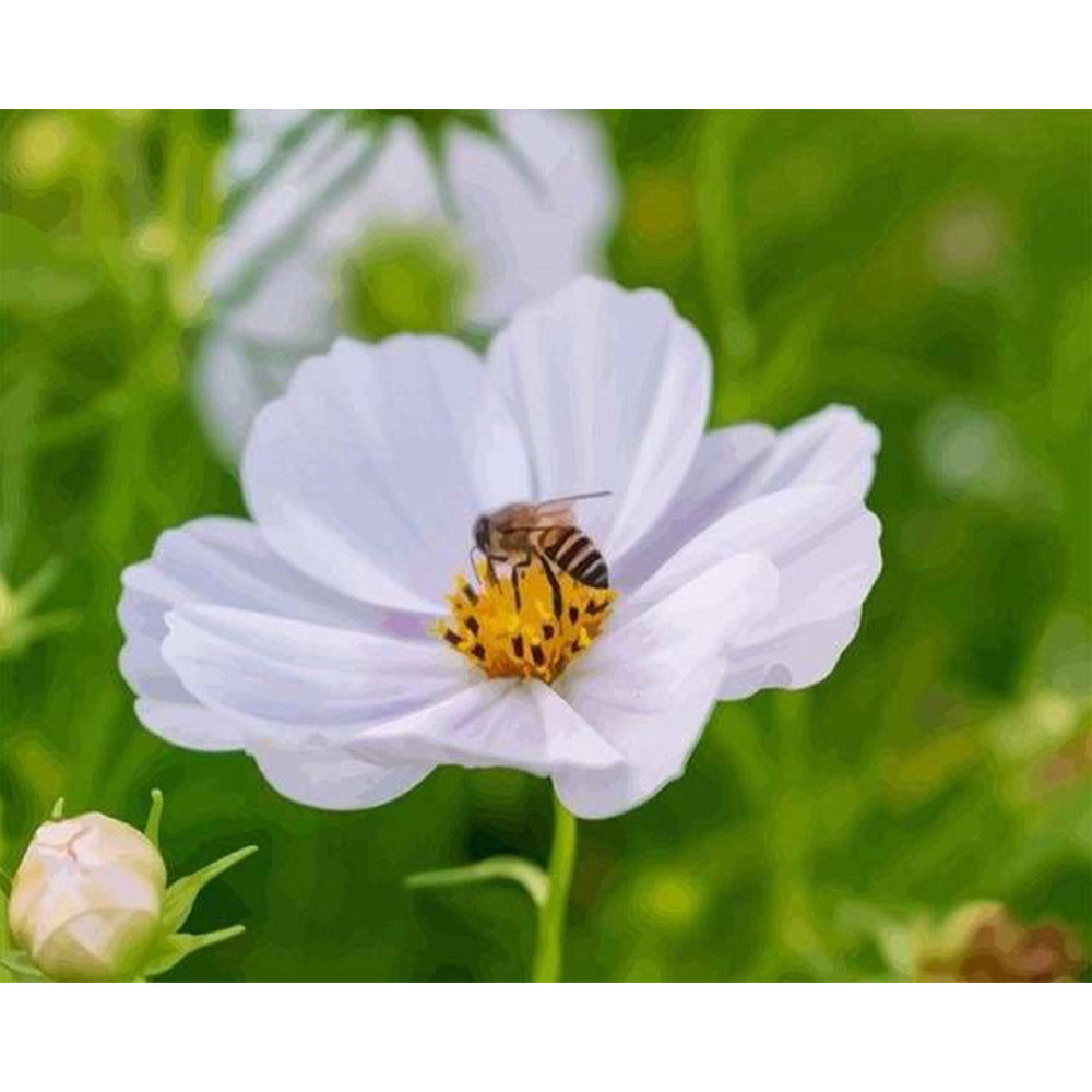 paint by numbers | Flower Bees | flowers intermediate | FiguredArt