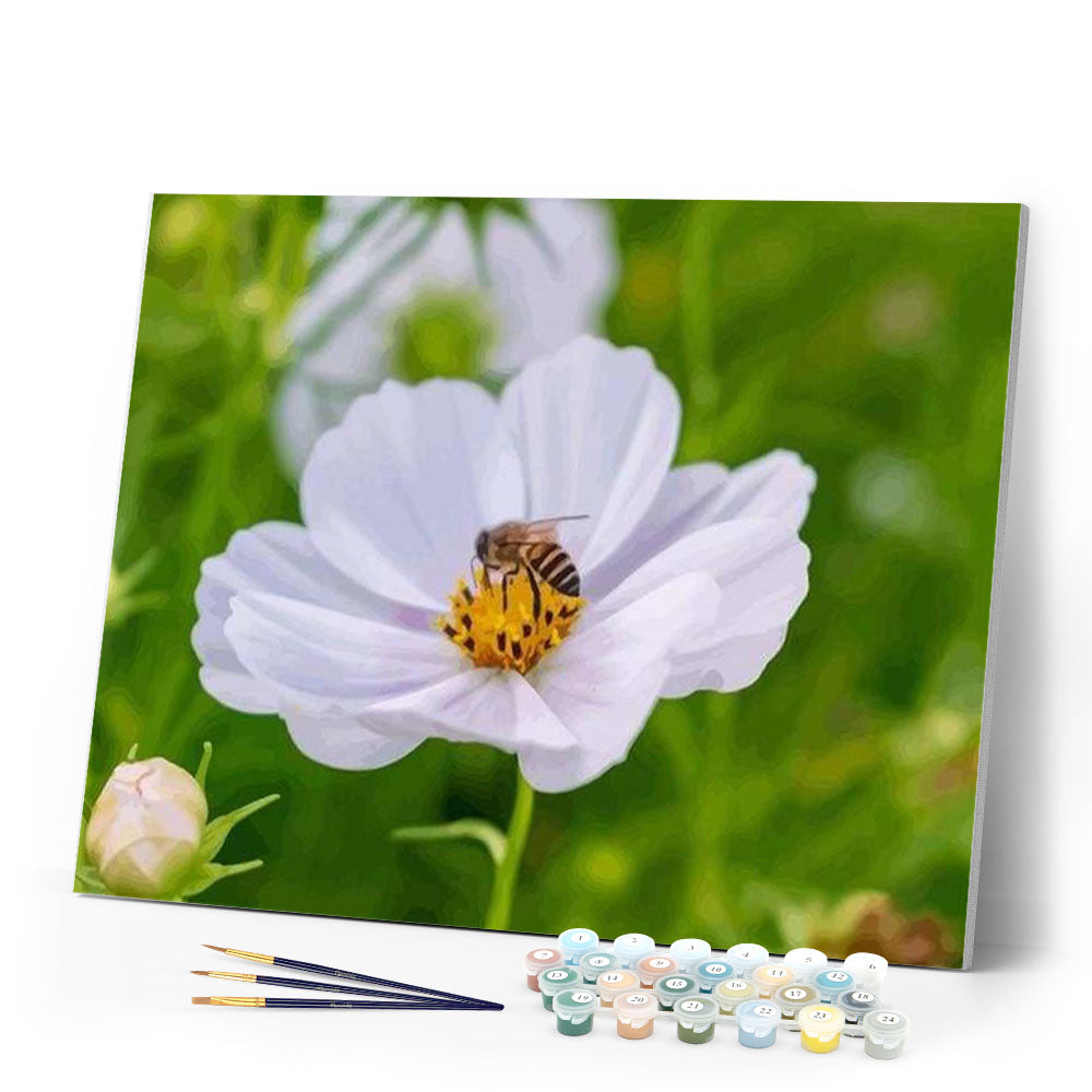 paint by numbers | Flower Bees | flowers intermediate | FiguredArt