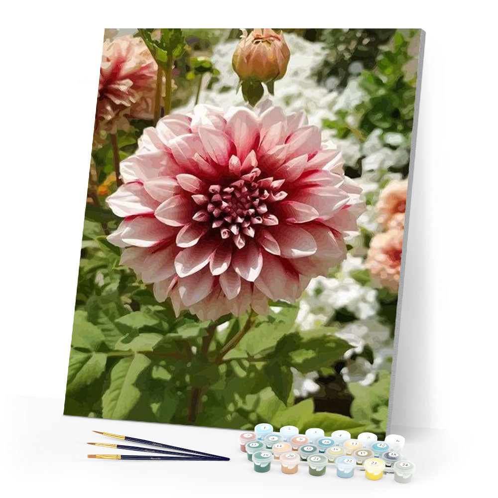 paint by numbers | Dahlia Flower | advanced flowers | FiguredArt