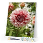 paint by numbers | Dahlia Flower | advanced flowers | FiguredArt