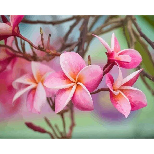 paint by numbers | Plumeria Flower | flowers intermediate | FiguredArt