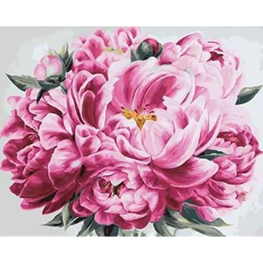 paint by numbers | Pink Peony | flowers intermediate | FiguredArt