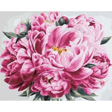 paint by numbers | Pink Peony | flowers intermediate | FiguredArt