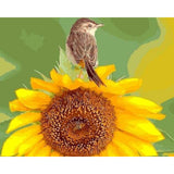 paint by numbers | Sunflower and Bird | animals birds flowers intermediate | FiguredArt