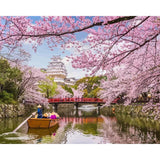 paint by numbers | Cherry Blossom in Japan | advanced flowers landscapes new arrivals | FiguredArt