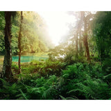 paint by numbers | Tropical Forest | advanced forest landscapes new arrivals | FiguredArt
