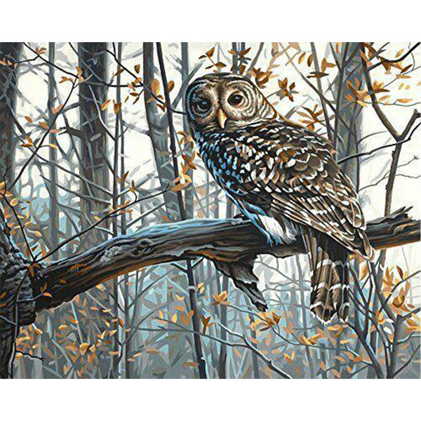 paint by numbers | Owl in the Forest | advanced animals forest new arrivals owls | FiguredArt