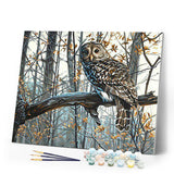 paint by numbers | Owl in the Forest | advanced animals forest new arrivals owls | FiguredArt