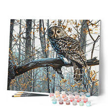 Load image into Gallery viewer, paint by numbers | Owl in the Forest | advanced animals forest new arrivals owls | FiguredArt