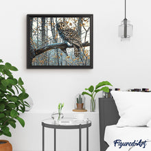 Load image into Gallery viewer, paint by numbers | Owl in the Forest | advanced animals forest new arrivals owls | FiguredArt